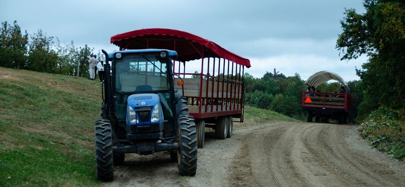 Tractor Rides and the Journey to the Fields