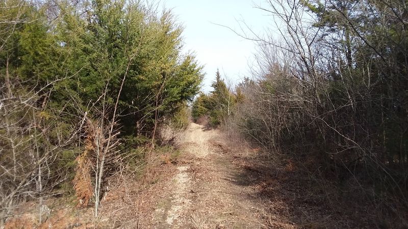 Trail Conditions and What to Expect