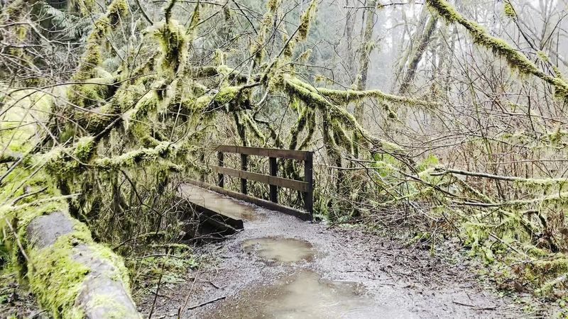 Trail Conditions and What to Wear