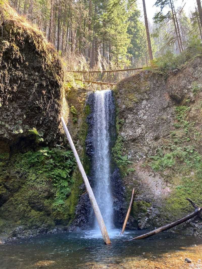 Trail Connections: Wahkeena Falls, Cougar Rock, and Beyond Trail Connections: Wahkeena Falls, Cougar Rock, and Beyond