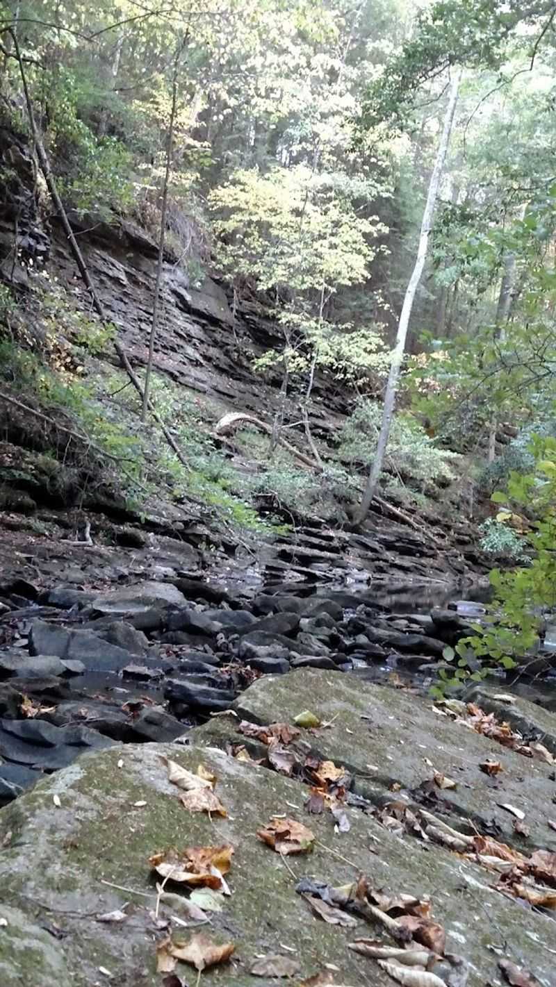 Trail Difficulty: What Hikers Actually Face Trail Difficulty: What Hikers Actually Face