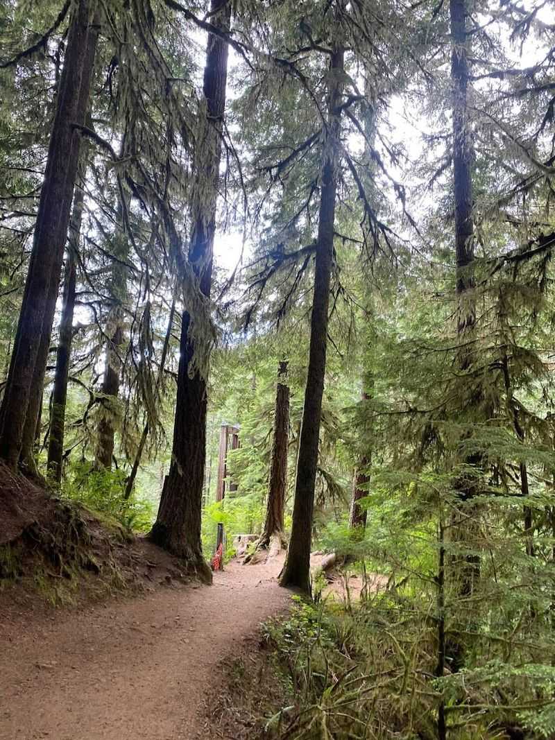 Trail Difficulty and What to Expect on the Way Down