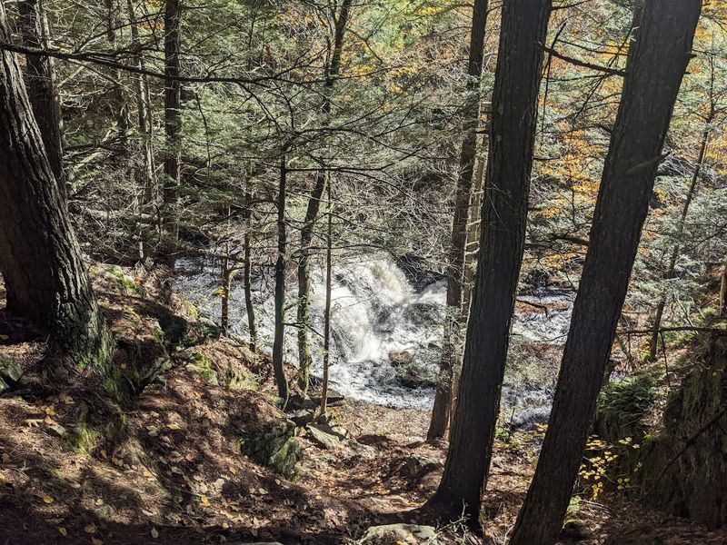 Trail Difficulty and Who Can Actually Handle It Trail Difficulty and Who Can Actually Handle It