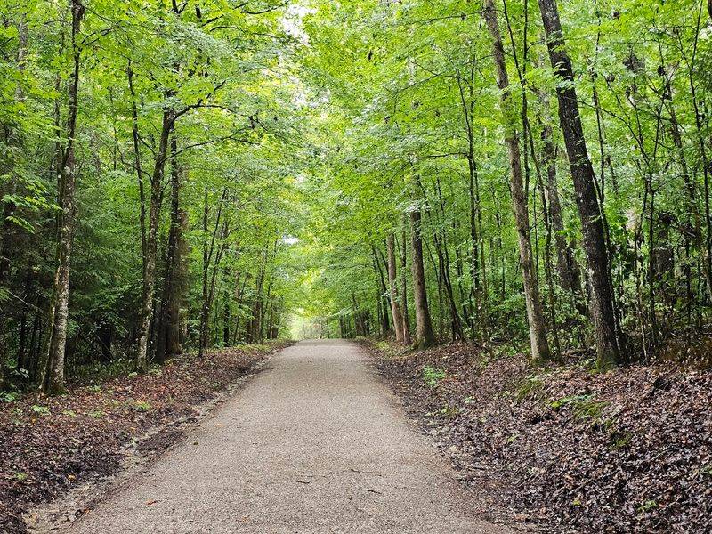 Trail Difficulty and Who Should Know Before Going