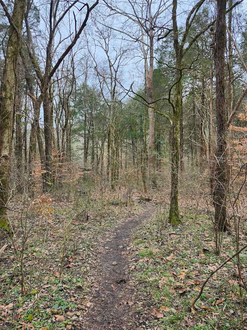 Trail Markers and Navigation: Where Things Get Tricky Trail Markers and Navigation: Where Things Get Tricky