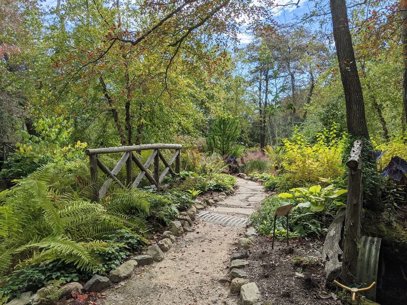 Trail Options for Every Kind of Walker