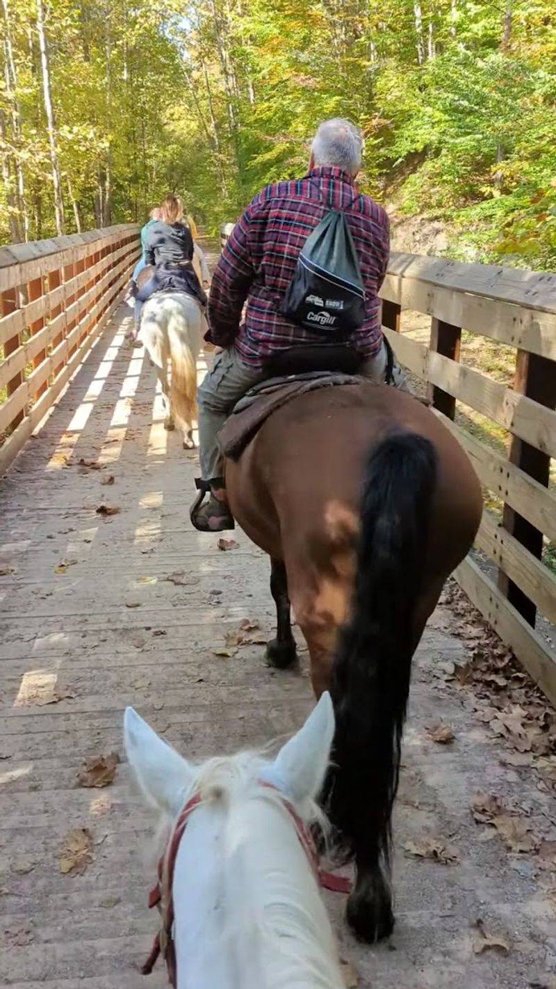 Trail Options for Every Skill Level Trail Options for Every Skill Level