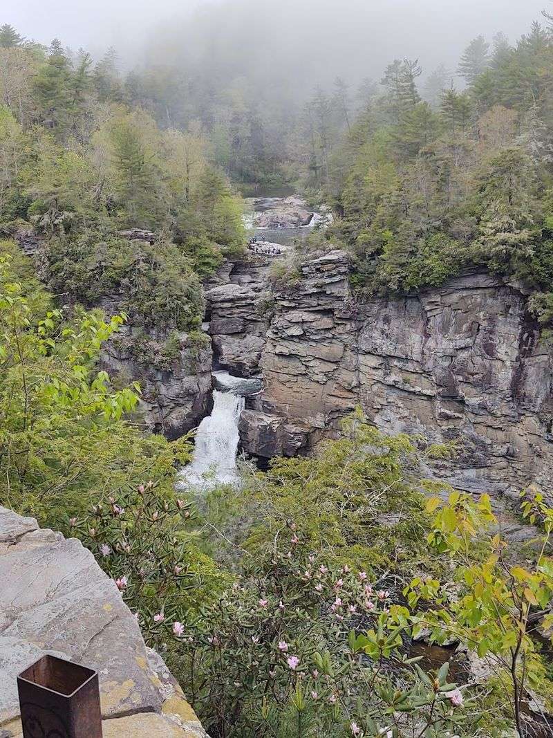Trail Options for Every Type of Hiker Trail Options for Every Type of Hiker