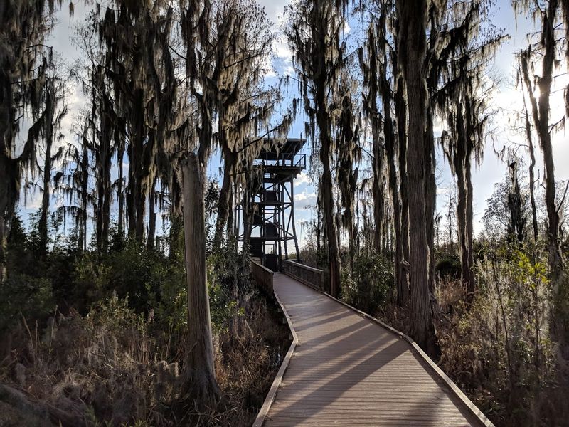 Trails, Boardwalks, and an Observation Tower Worth the Climb Trails, Boardwalks, and an Observation Tower Worth the Climb