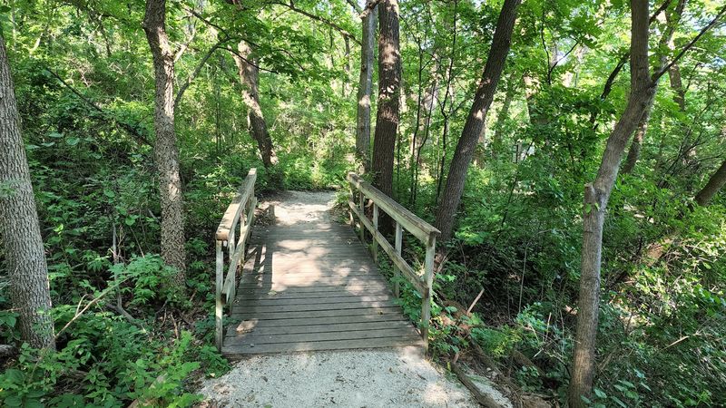 Trails Designed for Discovery, Not Just Exercise