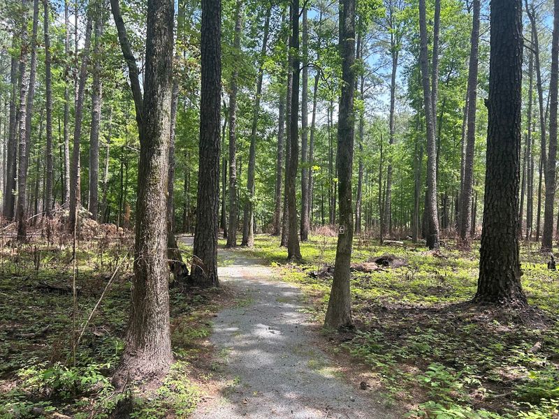 Trails That Range from Stroller-Friendly to Deeply Remote Trails That Range from Stroller-Friendly to Deeply Remote