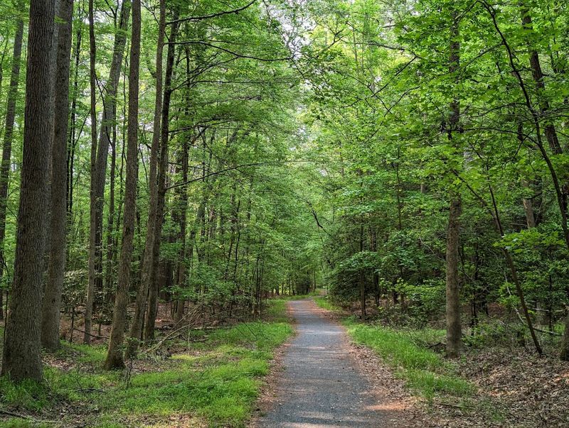 Trails That Wind Through Wetland, Woodland, and Everything Between