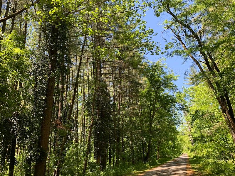 Trails That Work for Every Fitness Level