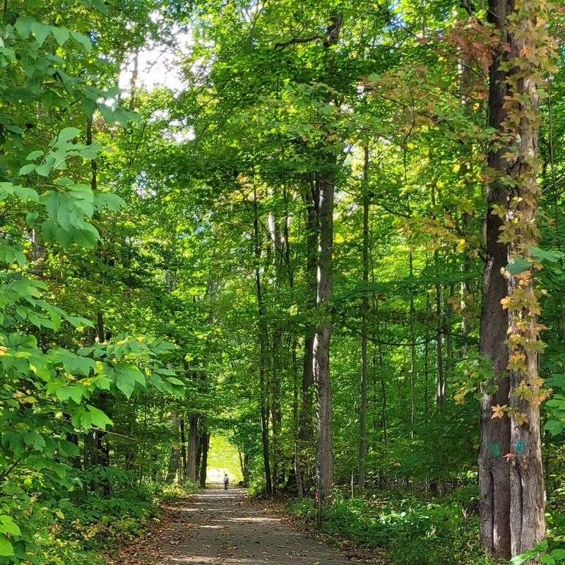 Trails, Walks, and Ways to Explore the Surrounding Area Trails, Walks, and Ways to Explore the Surrounding Area