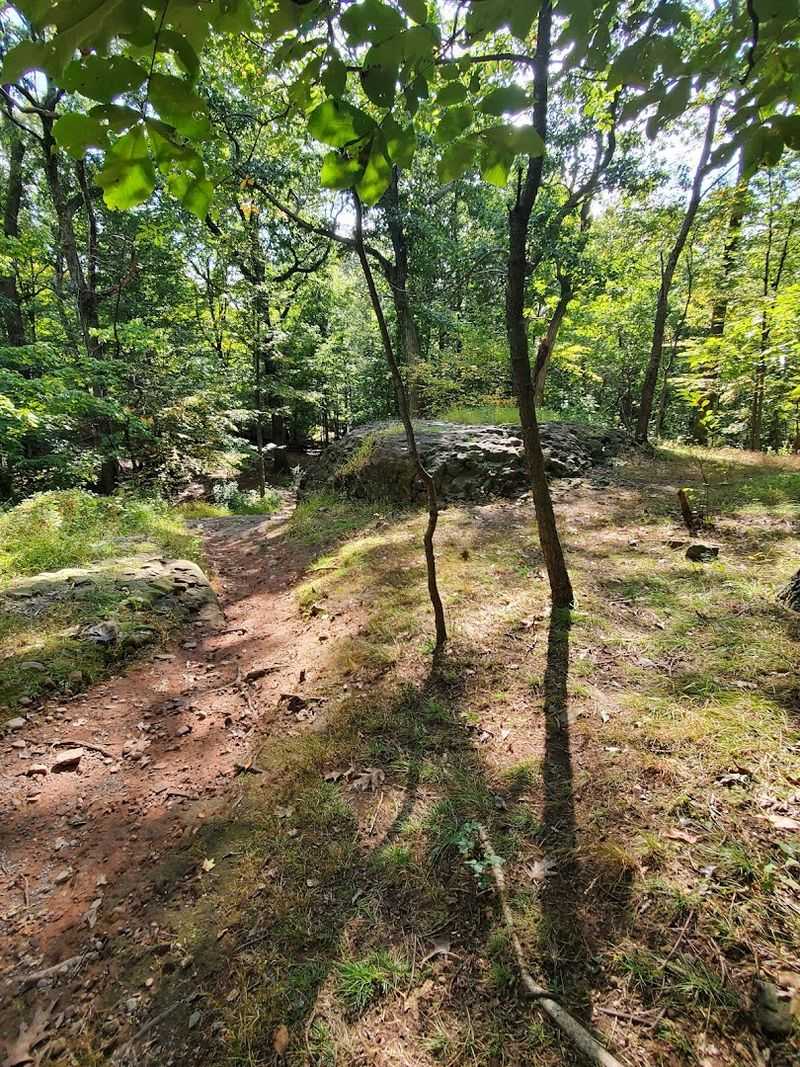 Trails Worth Lacing Up For Trails Worth Lacing Up For