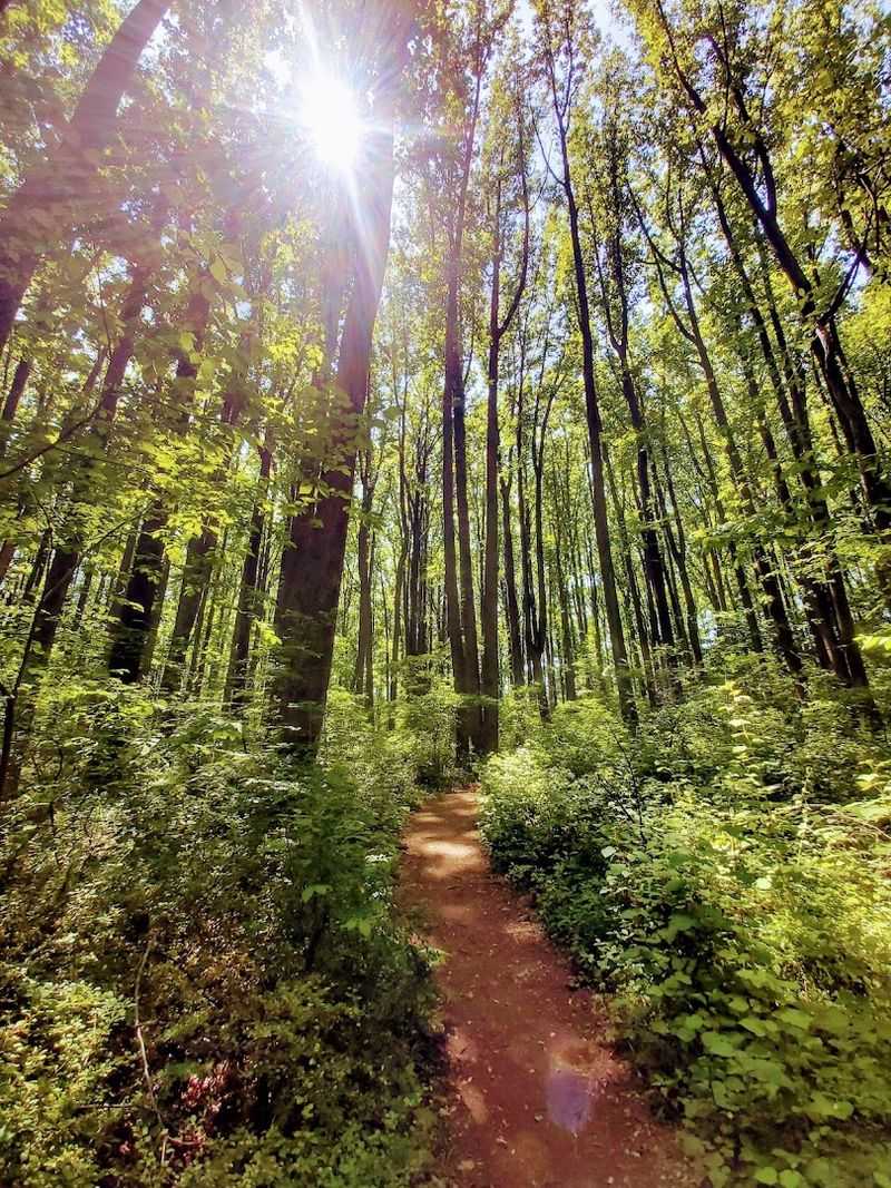 Trails for Every Kind of Outdoor Enthusiast