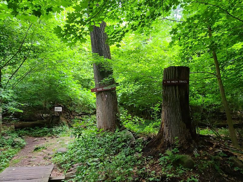 Trails for Every Type of Walker Trails for Every Type of Walker