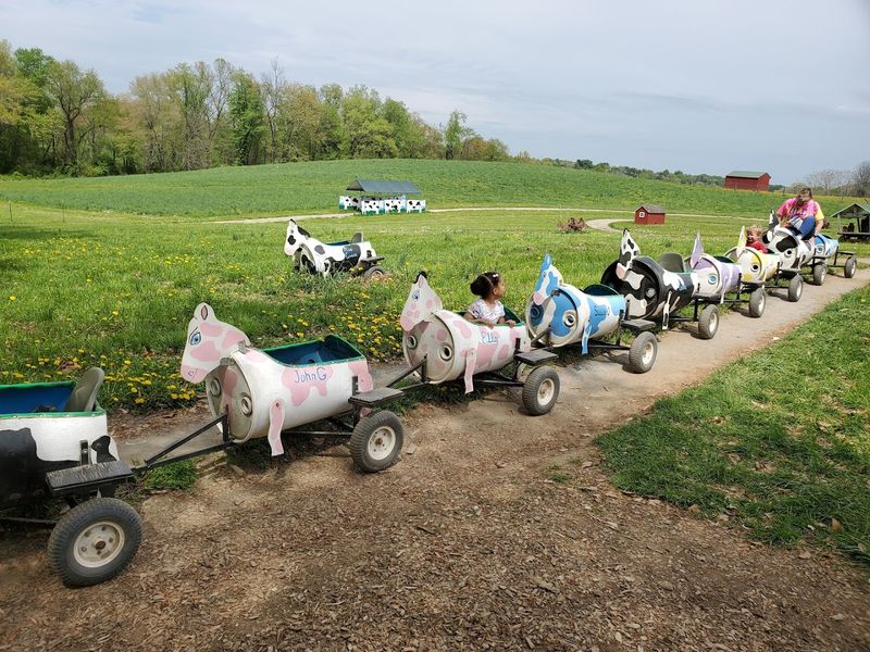 Train Rides, Hay Rides, and the Cow Train Train Rides, Hay Rides, and the Cow Train