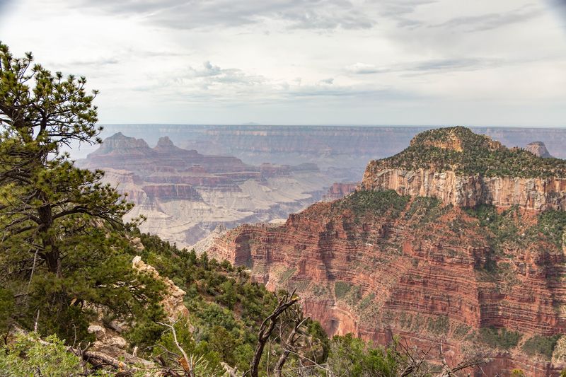 Transept Trail, Grand Canyon National Park, Arizona