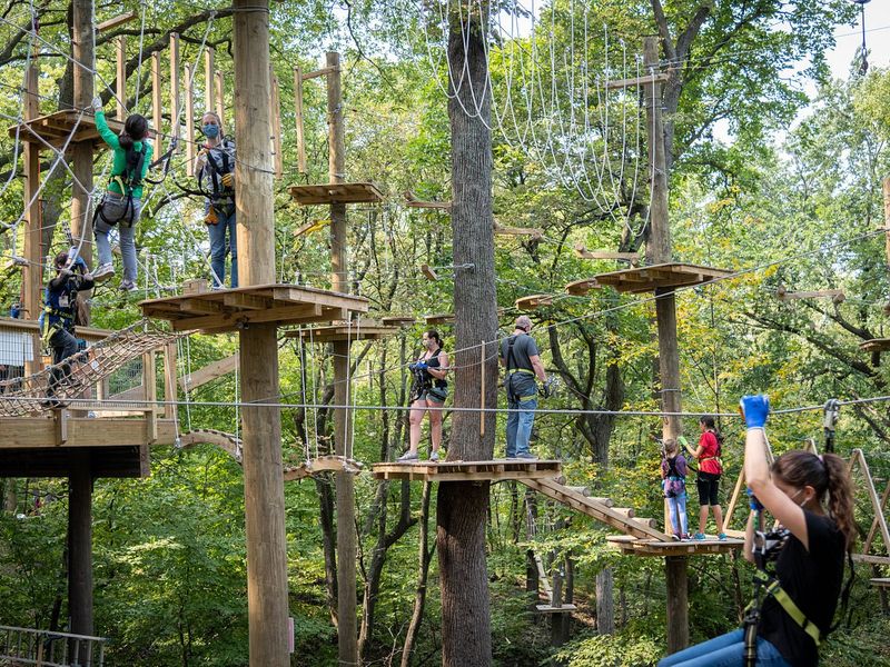 TreeRush Adventures: Where the Forest Goes Vertical TreeRush Adventures: Where the Forest Goes Vertical