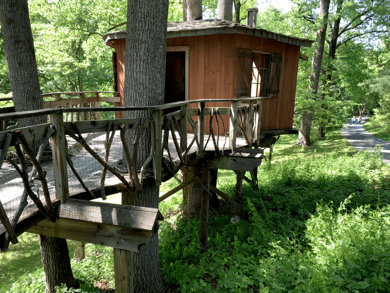 Treehouses, an Edible Garden, and the Native Woodland Walk Treehouses, an Edible Garden, and the Native Woodland Walk