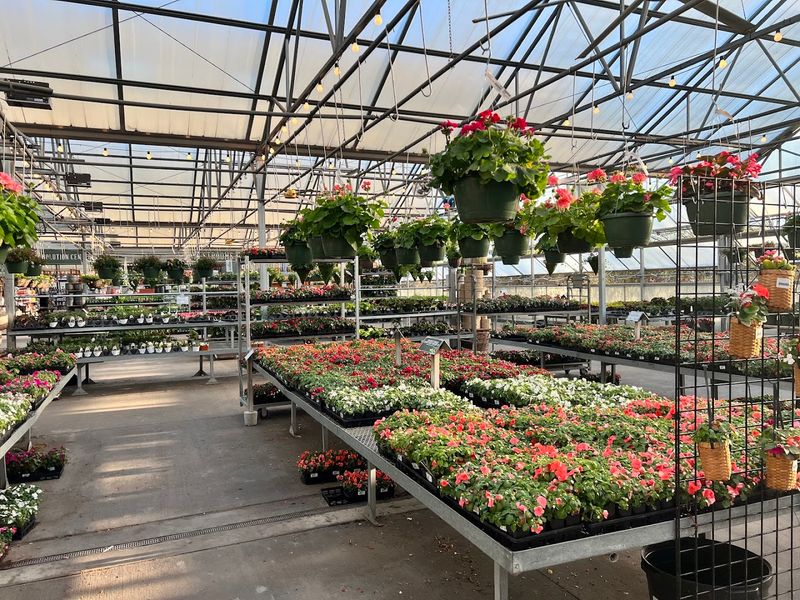 Trees, Landscaping, and Planting Services