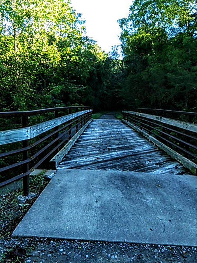 Trestle Bridges That Stop Cyclists in Their Tracks