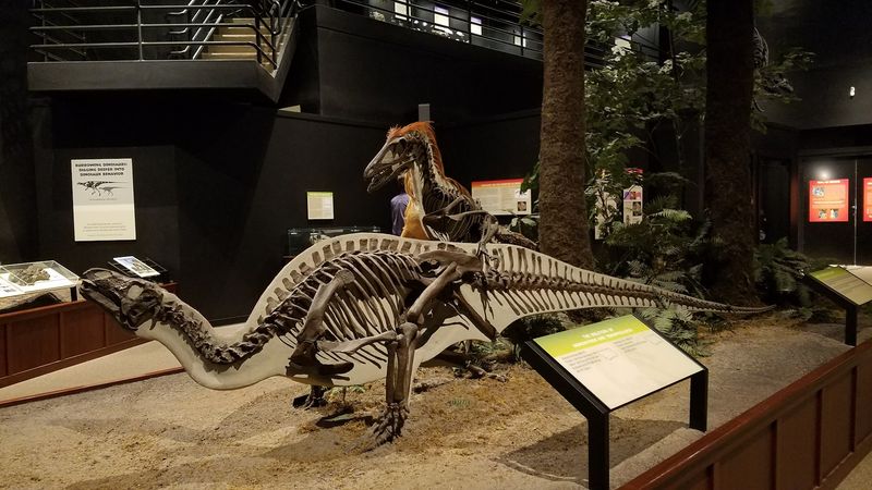 Triceratops, Allosaurus, and the Prehistoric Supporting Cast Triceratops, Allosaurus, and the Prehistoric Supporting Cast