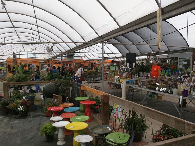 Tropical and Indoor Houseplants Worth Getting Excited About