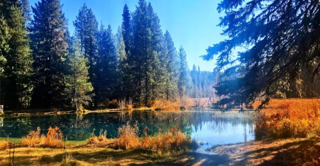 Tucked Deep in the Forest, This Hidden Oregon Blue Lake Feels Like Pure Serenity