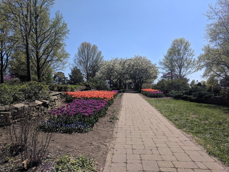 Tulip Time: One Hundred Thousand Reasons to Visit in April Tulip Time: One Hundred Thousand Reasons to Visit in April