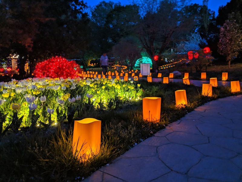 Tulip Time: The Event That Turns the Garden Into Something Magical