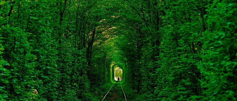 Tunnel of Love - Ukraine Tunnel of Love - Ukraine