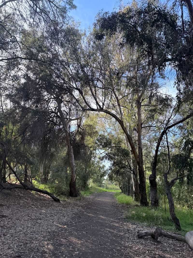 Ulistac Natural Area (Santa Clara, USA)