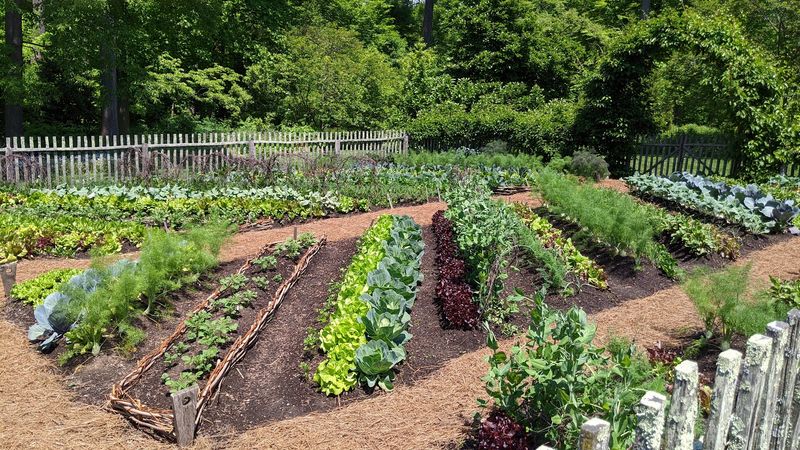 Vegetables and Edible Plants Woven Into the Beauty