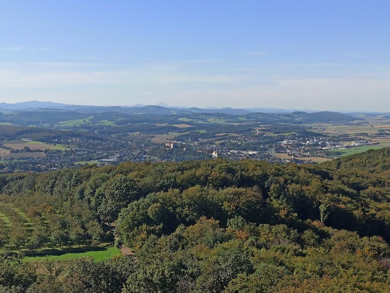 Vienna Woods, Vienna, Austria