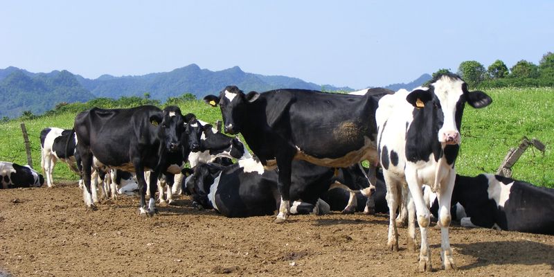 Vietnam: Almost Perfect Agricultural Self-Reliance