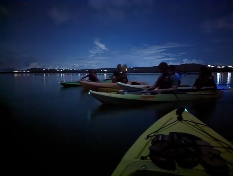 Visit the Bioluminescent Waters of Mosquito Bay in Vieques, Puerto Rico