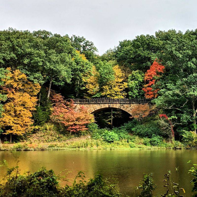 Volney Rogers Fieldstone Bridges Route