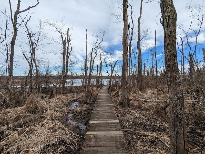 Volunteering Here Is A Real Commitment To Conservation