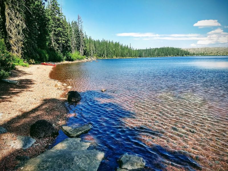Waldo Lake, Oregon