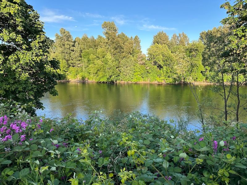 Walk Along the Willamette at Riverfront Commemorative Park