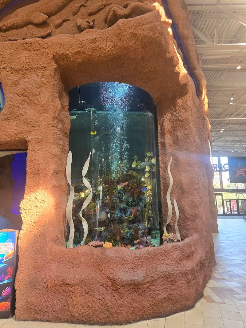 Walking the Perimeter: The Aquarium Tour Within the Restaurant Walking the Perimeter: The Aquarium Tour Within the Restaurant
