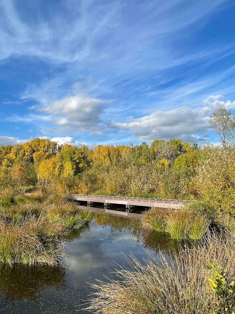 Wander Through Bruce Starker Arts Park and Natural Area