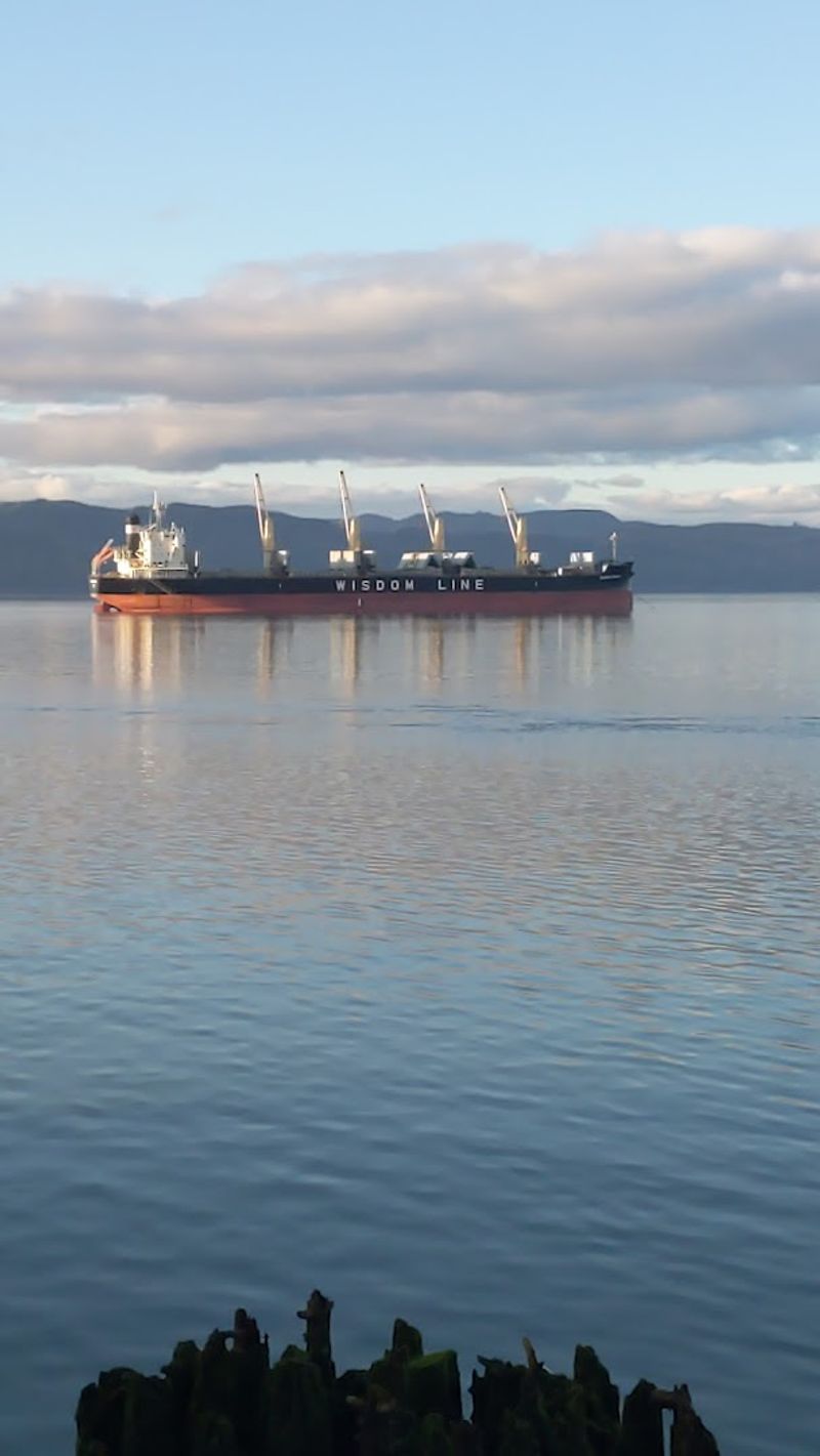 Watching Cargo Ships and River Traffic Up Close