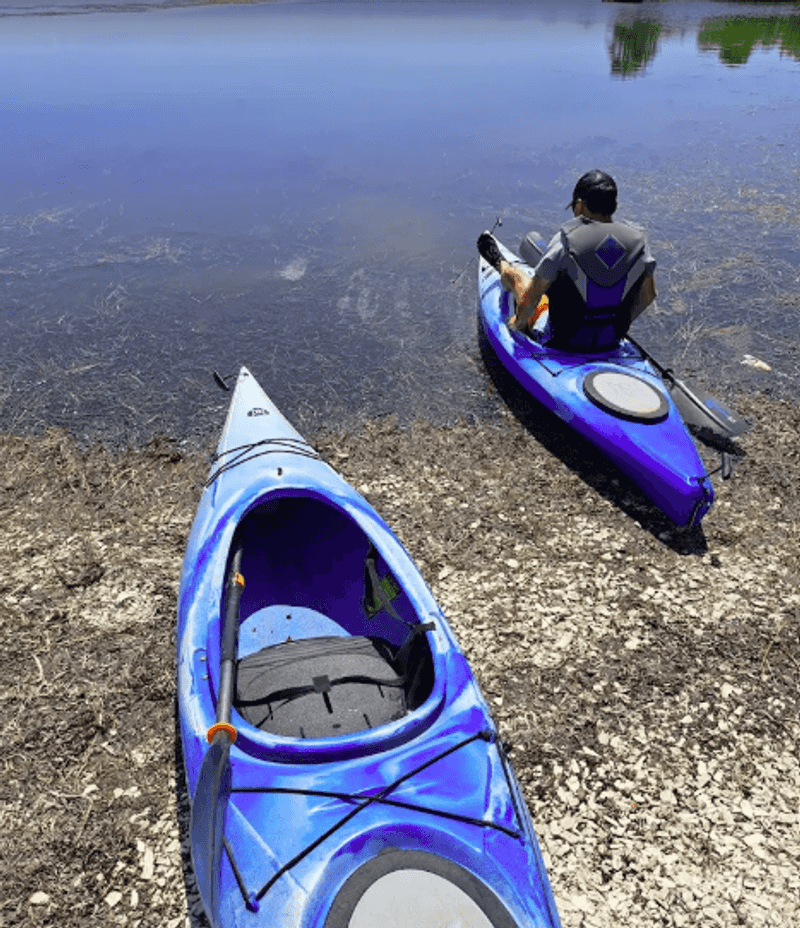 Water Activities at the Back of the Park