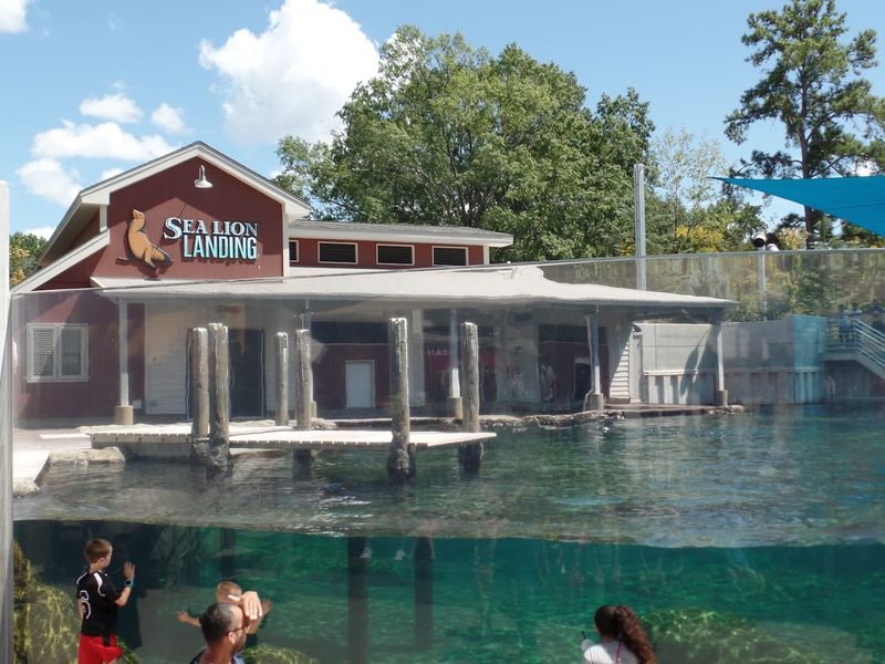 Water Play Area and Splash Zone for Kids Water Play Area and Splash Zone for Kids
