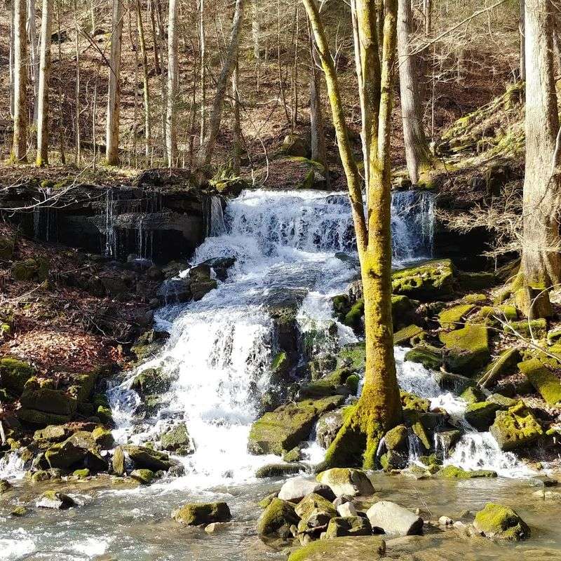 Waterfalls Along the Route Before Foster Falls Waterfalls Along the Route Before Foster Falls