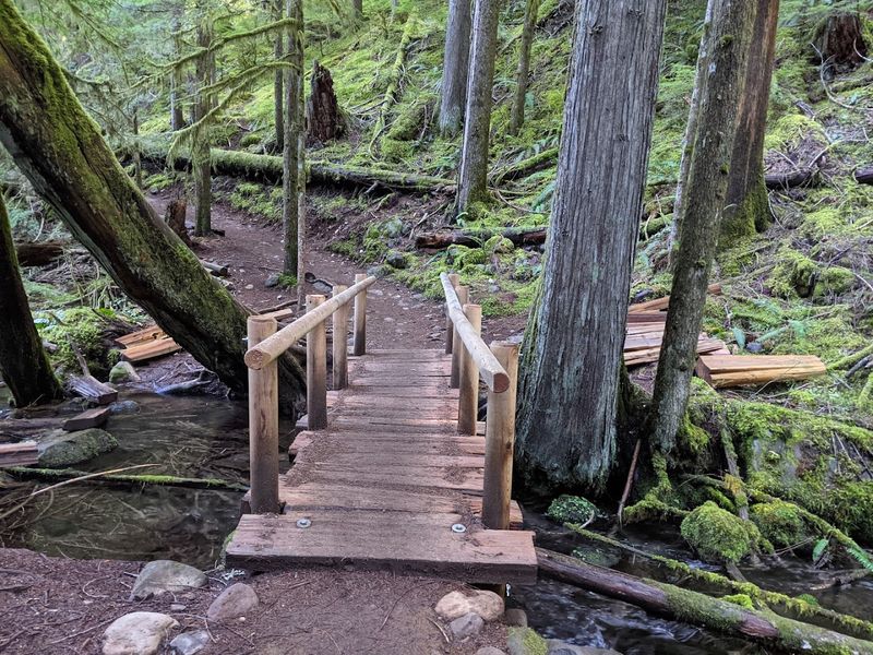 Waterfalls, Bridges, and the Small Details That Stick