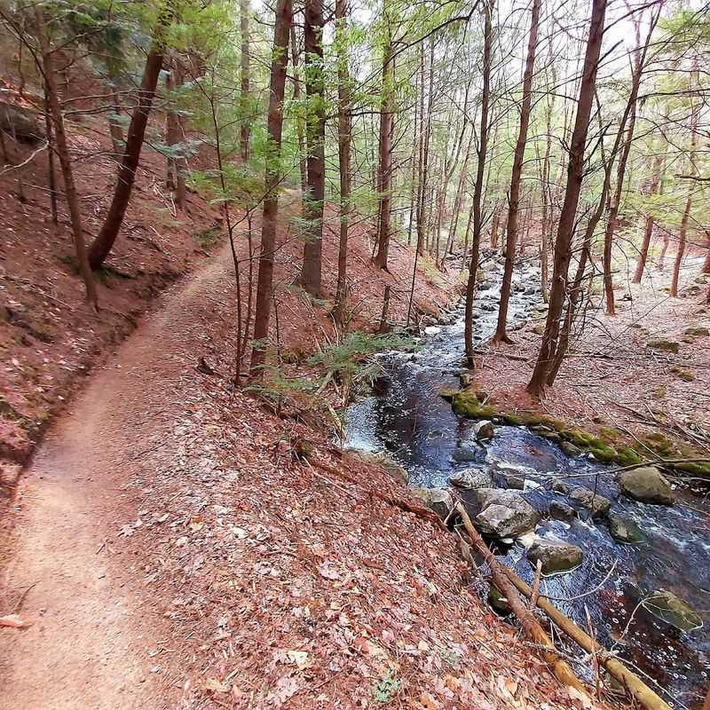 What 40-Plus Miles of Trail Actually Feels Like on Your Boots What 40-Plus Miles of Trail Actually Feels Like on Your Boots